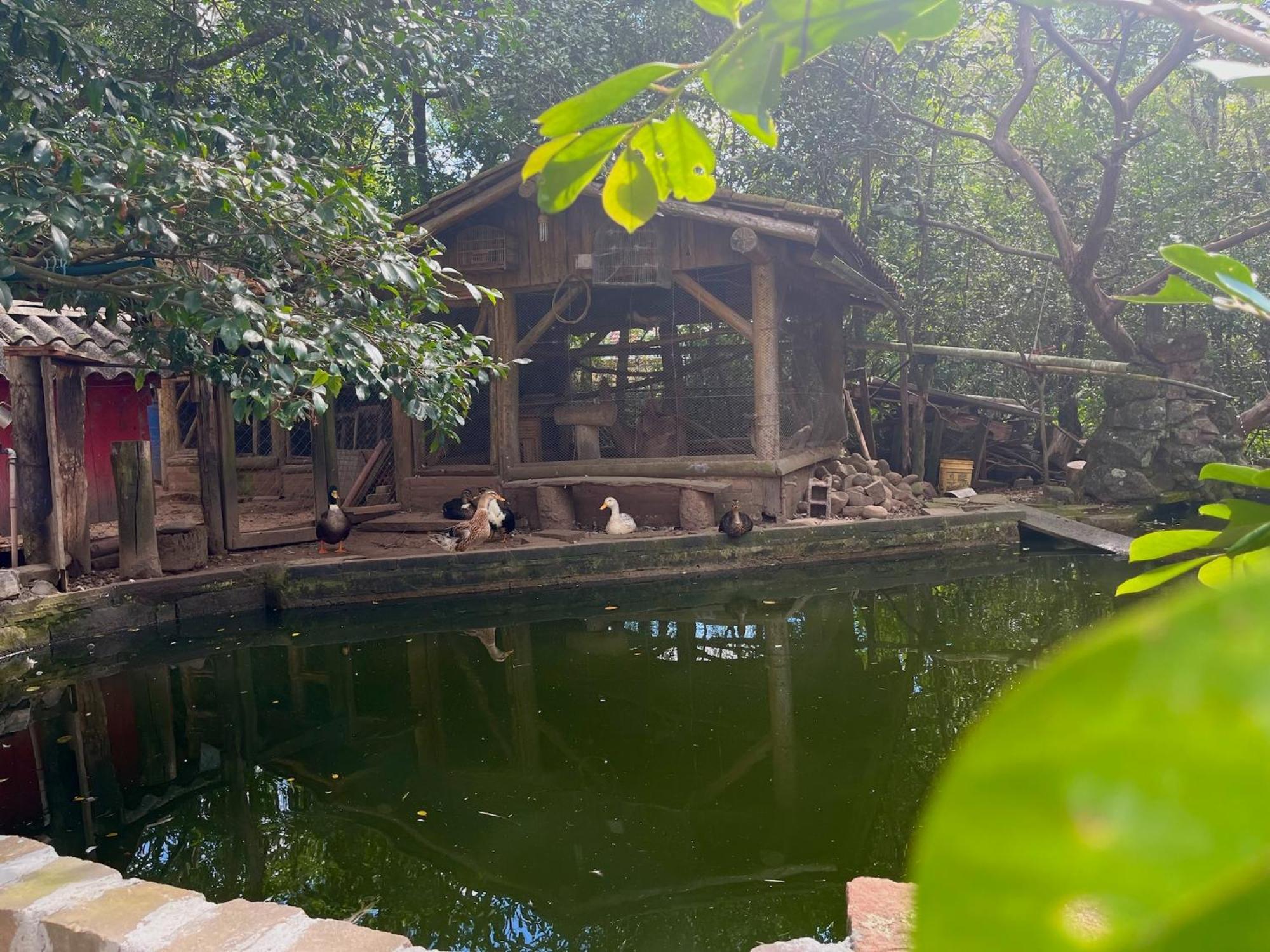 Canto Bonito Centro De Quarto em Acomodações Particulares *