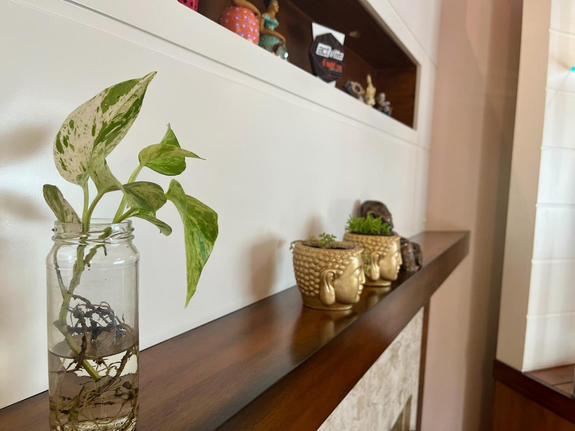 Quarto em Acomodações Particulares Canto Bonito Centro De *